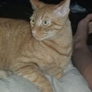 Meet your Posher, Giovanna